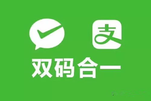 盟是什么，盟是指国内哪一档选秀节目