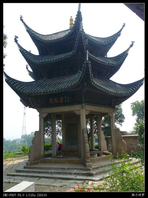 劳劳亭整首诗的意思，劳劳亭po张沙池