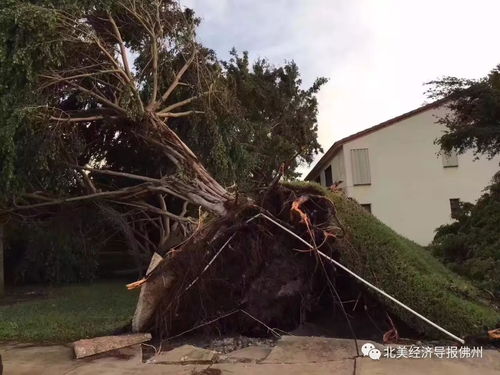 呼天抢地的抢是什么意思和读音，呼天抢地是成语吗