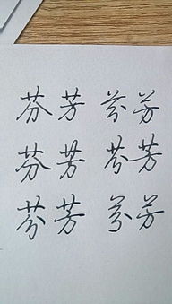 芬芳的芬可以怎么组词