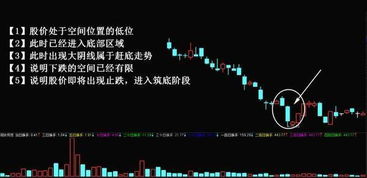 形态的意思解释 形态造句 近义词