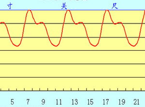 浮、沉、迟、数的脉象怎样,各主何病?