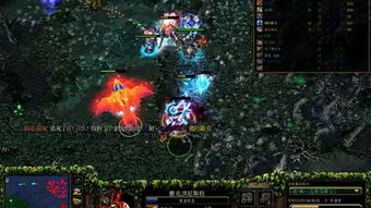 承翰学校，承尊dota