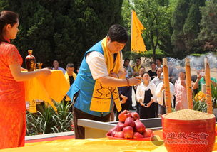 祭酒的文化常识解释