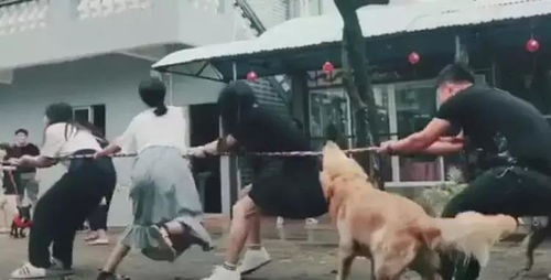 奋力是什么意思0，奋力是什么意思翻译
