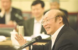 共商国是是什么意思