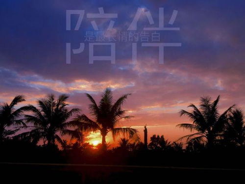 关于倍组词介绍倍字怎么组词