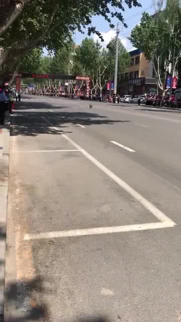 夹道欢迎是什么意思