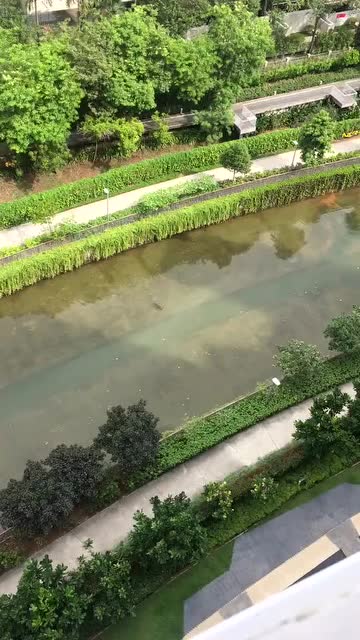 什么的池塘一年级，什么的池塘填空二年级