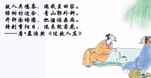 《过故人庄》全诗解释和赏析怎么写?