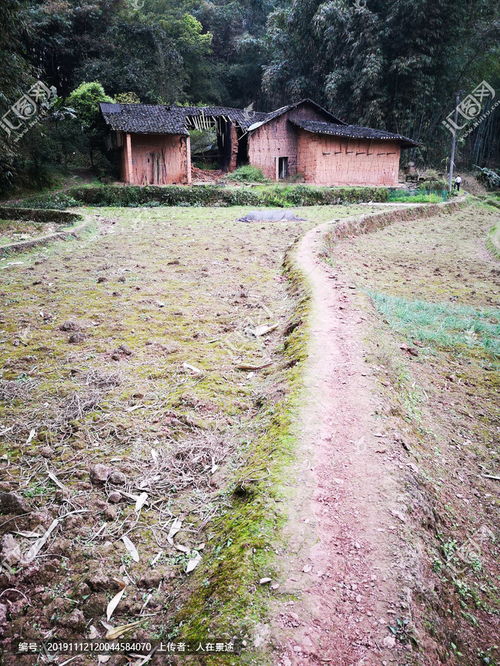 田坎的拼音，田坎属于什么土地类型