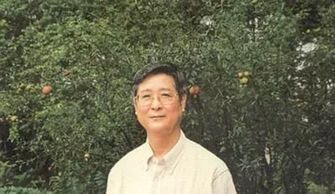 连登书法家还在世吗?