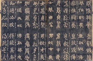 汉字的四体指那些?