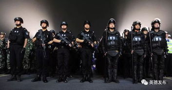 威武之师文明之师正义之师，威武之师还得威武的出处