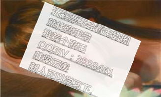 跨度是什么意思