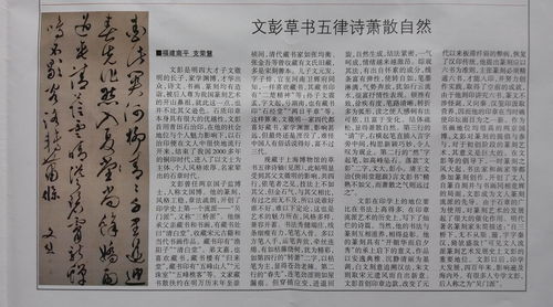疏字组词，徐字组词和部首