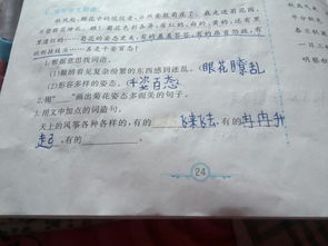各种各样造句三年级，看见各种各样造句