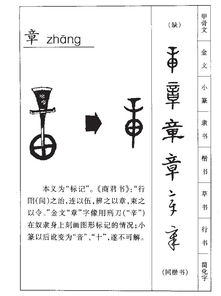 章的拼音和词语，张的拼音
