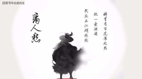 吃一堑长一智的意思是什么意思视频，吃一堑长一智