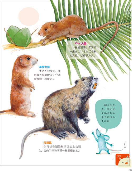 什么是啮齿类动物