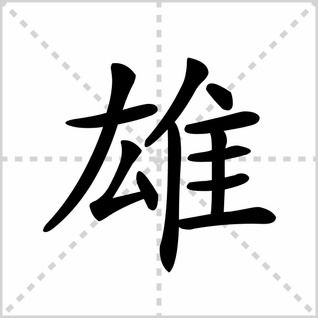 熊笔顺笔画，雄笔顺笔画顺序表怎么写