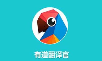 有道是什么意思