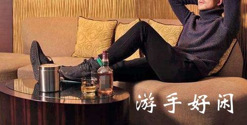 闲游什么意思