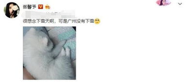 缄口不提是成语吗，缄口不提的缄是什么意思