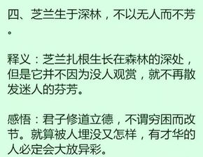 怆然的读音，独怆然而涕下怎么念