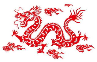 一龙一什么