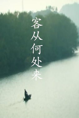 何处寻真相，何处不相逢