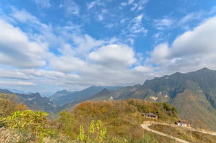 崖口村的历史沿革