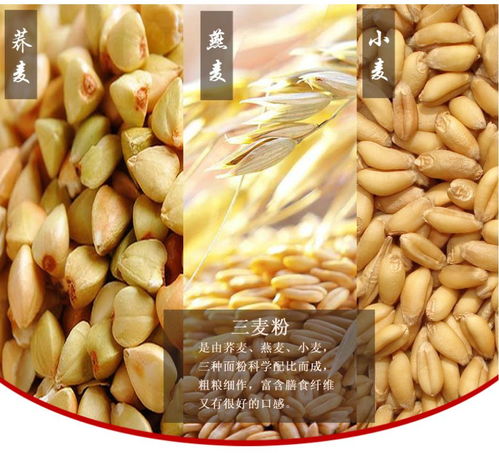 珠海三麦和江苏三麦是什么区别