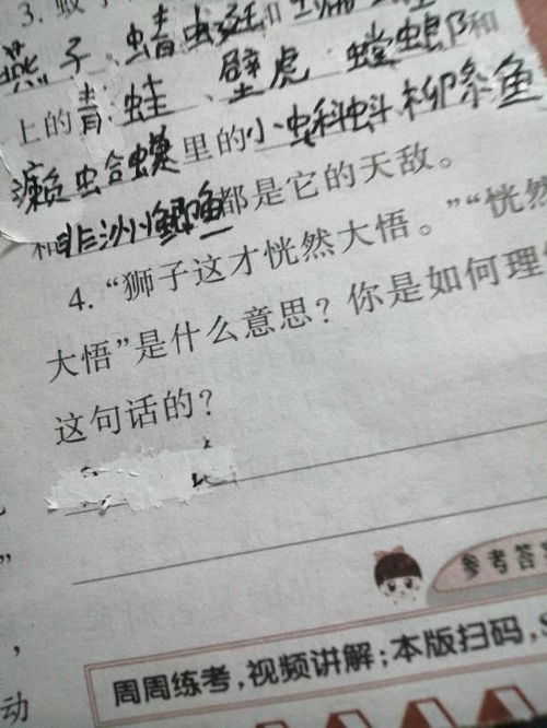 恍然大悟的近义词是什么