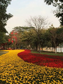 花径读音，花径公园
