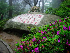 庐山花径好玩吗庐山花径怎么去