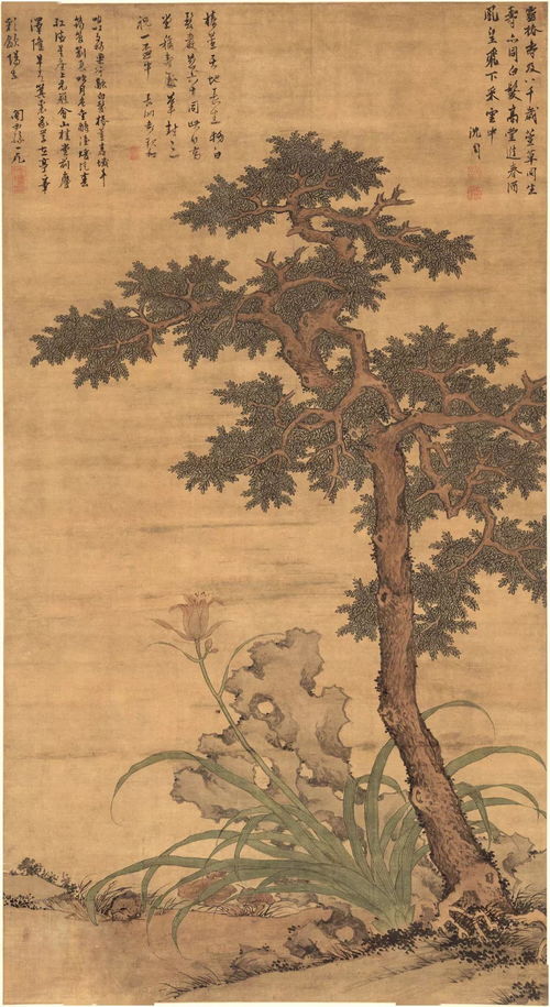 椿萱怎么读