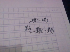 篇的组词三年级，遍的组词