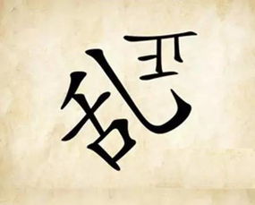 光阴什么什么成语四字，光阴什么成语四字词语