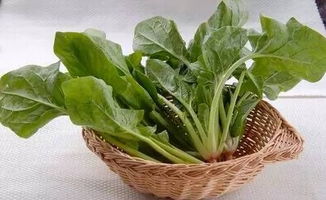 梦见菠菜是什么意思，宣传菠菜是什么意思