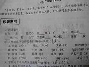 蒙蒙的什么词语填空