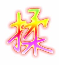 柔的笔顺拼音，揉的笔顺笔画