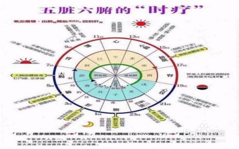 魄怎么读 拼音，肝胆肺腑怎么读