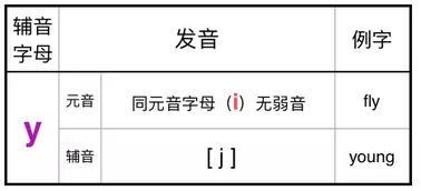 震荡的拼音怎么读，震荡颠簸的拼音