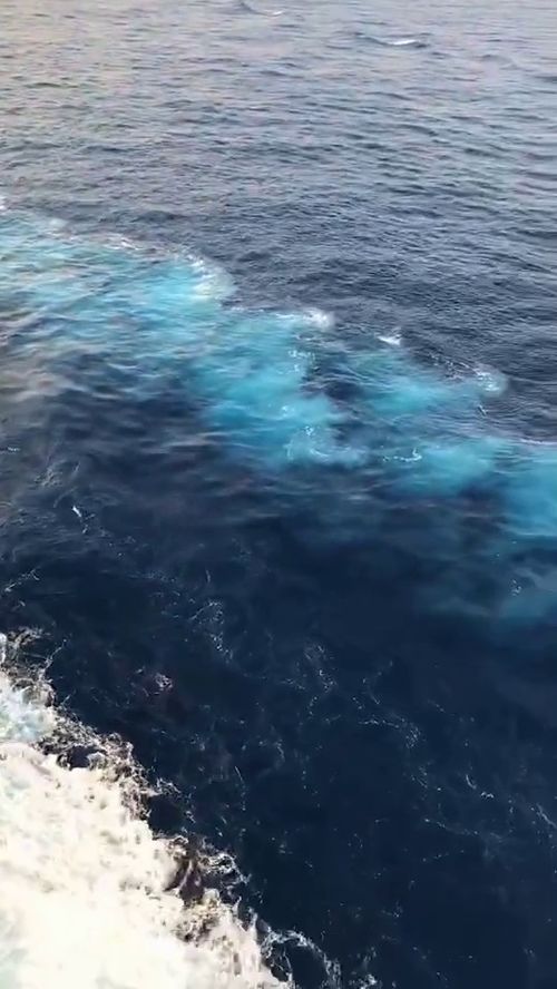 的浪花前面填什么词语，什么的浪花