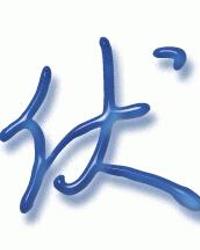 会意的意思是什么