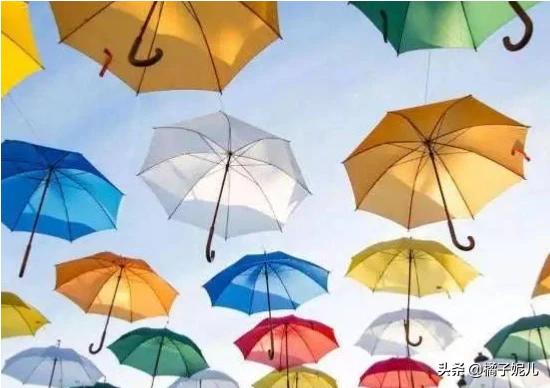 金的拼音，姨的拼音