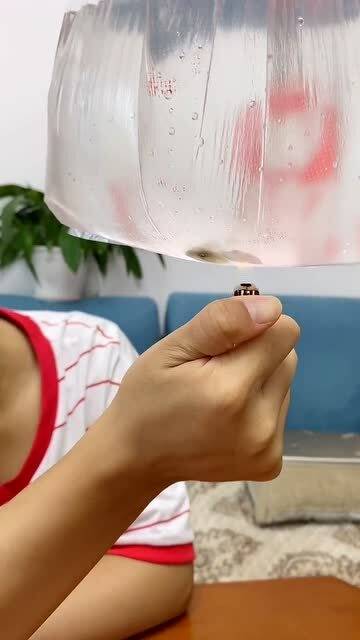覆巢无完卵是什么意思?覆巢无完卵成语造句和典故
