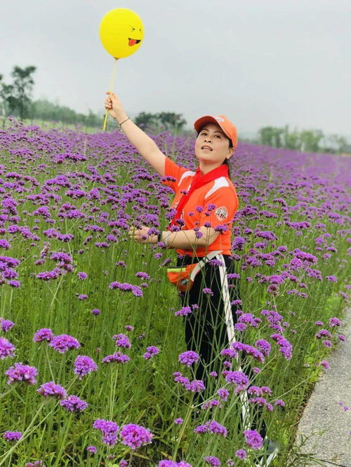 芣苢在上古怎么读?