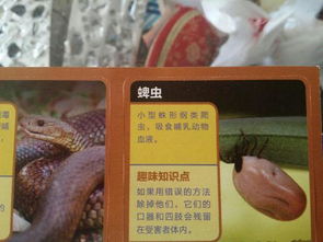 蟌怎么读，蜱虫怎么去除简单方法